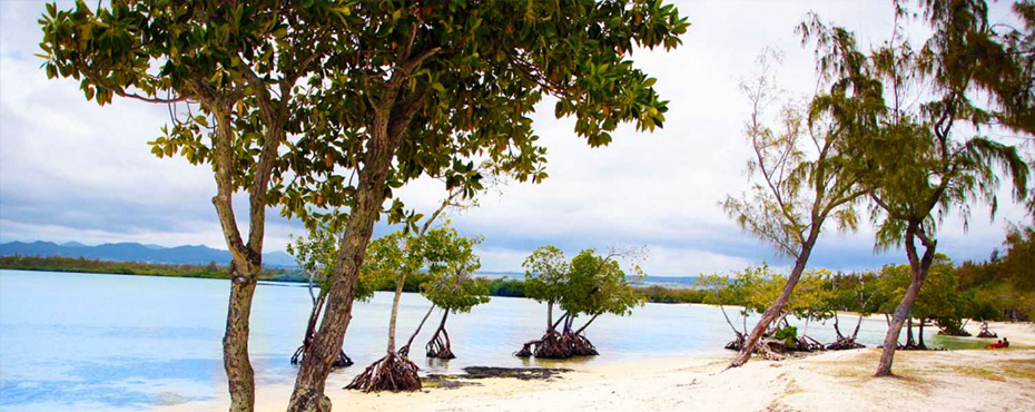 poste lafayette mauritius